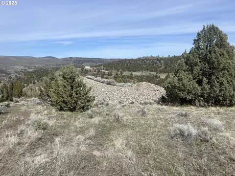 0 Blue Gulch Rd, John Day, OR 97845 photo 6