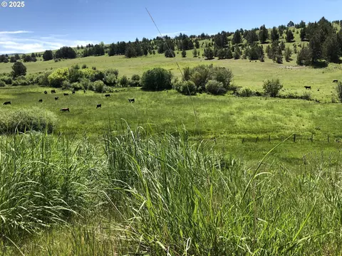 38932 Hwy 395, Long Creek, OR 97856