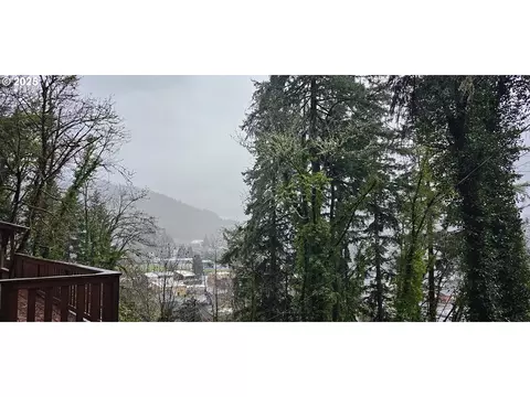 View/Area - 420 W D Ave, Drain, OR 97435 photo 1 of 3