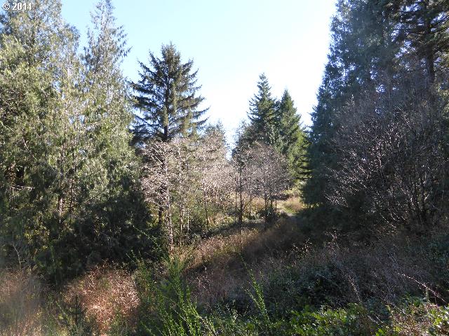 89494 Sutton Pl, Florence, OR 97439 photo 1