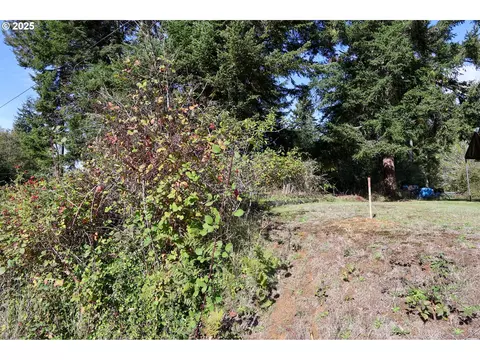 0 E Bay Rd, North Bend, OR 97459 photo 16