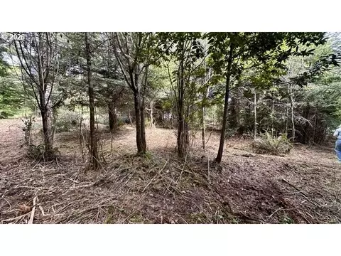 0 E Bay Rd, North Bend, OR 97459 photo 23