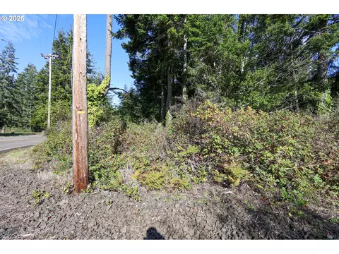 0 E Bay Rd, North Bend, OR 97459 photo 15