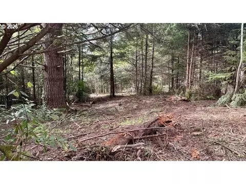 0 E Bay Rd, North Bend, OR 97459 photo 20