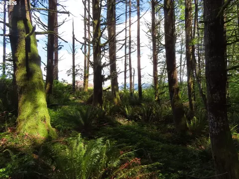 Hockett Rd, Onalaska, WA 98570