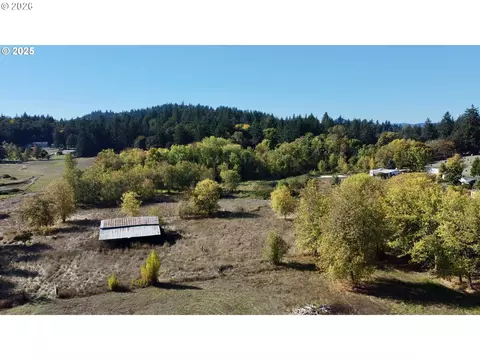 0 8th Ave, Monroe, OR 97456 photo 6