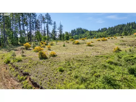 Spring Blvd Lot02500, Eugene, OR 97405 photo 22