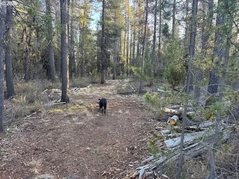 Other - keyser circle, Chiloquin, OR 97624 photo 8 of 30