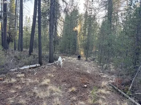 Other - keyser circle, Chiloquin, OR 97624 photo 19 of 30