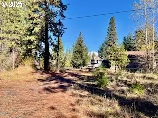 29 Trout Lake Park Rd, Trout Lake, WA 98650