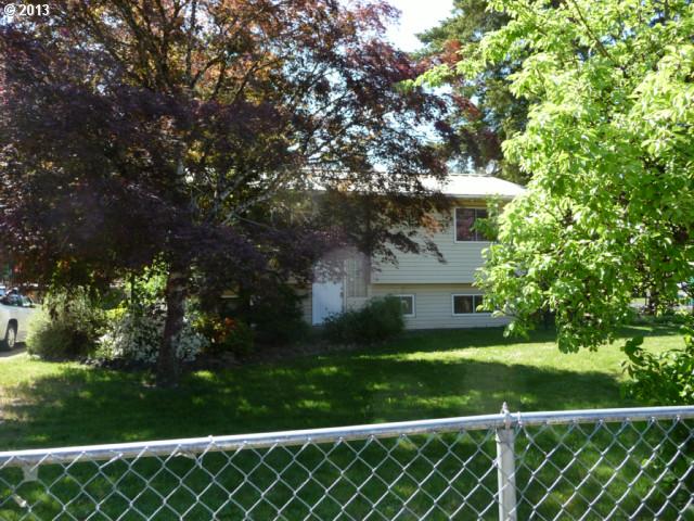 151 Dillingham Loop, Carson, WA 98610 photo 1