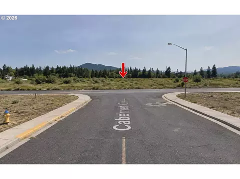 751 Daisy Hill Rd, Cave Junction, OR 97523 photo 3