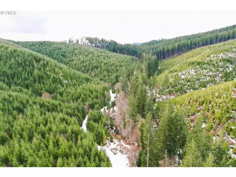 Blm 15-7-36 Rd, Junction City, OR 97448