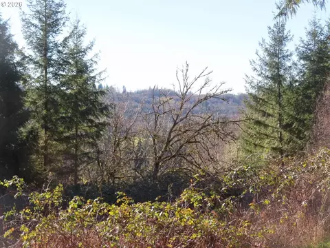Larson Rd, Mossyrock, WA 98564