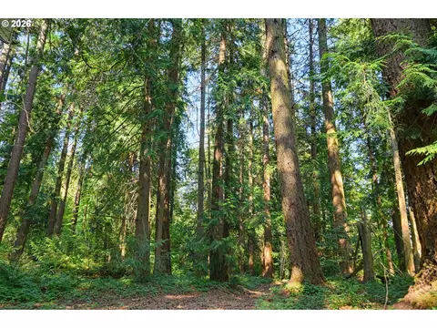 Other - 16990 SE Foster Rd, Gresham, OR 97080 photo 4 of 14
