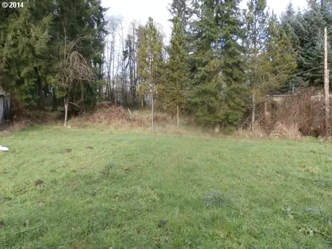 67865 Andy Thomas Rd, Rainier, OR 97048 photo 1