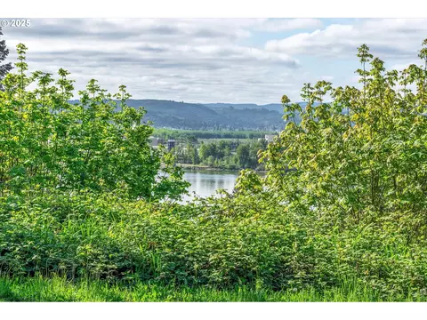 Mill Falls Ln, Longview, WA 98632 photo 3