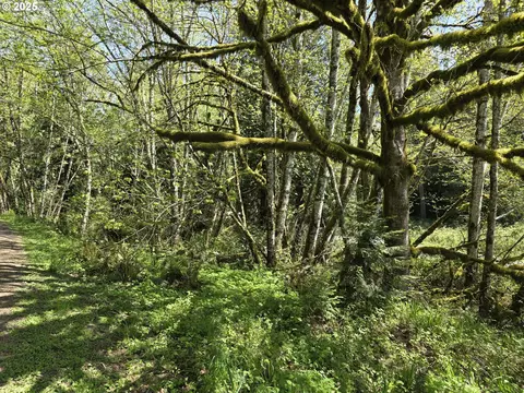 Mill Falls Ln, Longview, WA 98632 photo 14
