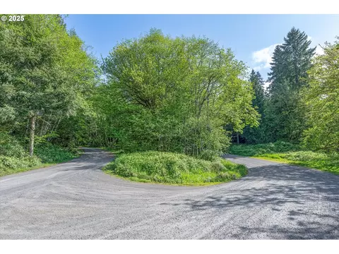 Mill Falls Ln, Longview, WA 98632 photo 18