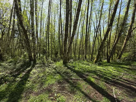 Mill Falls Ln, Longview, WA 98632 photo 4