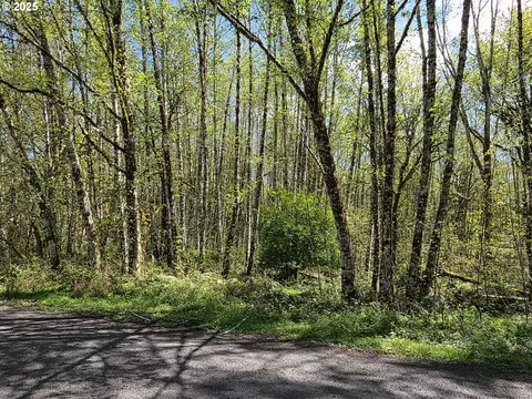 Mill Falls Ln, Longview, WA 98632 photo 13