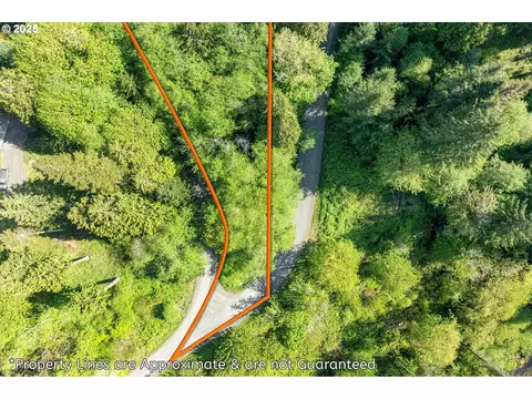 Mill Falls Ln, Longview, WA 98632 photo 8