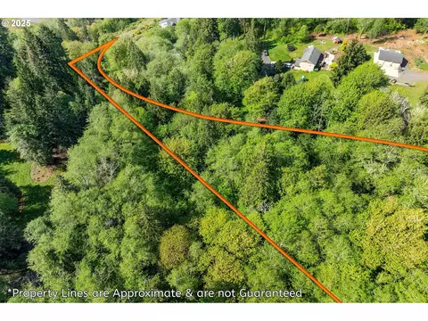 Mill Falls Ln, Longview, WA 98632 photo 9