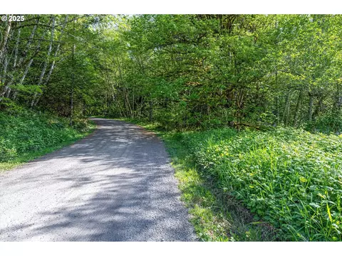 Mill Falls Ln, Longview, WA 98632 photo 6