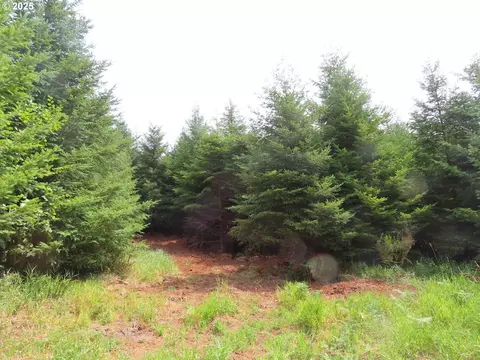 mill creek ln, Longview, WA 98632