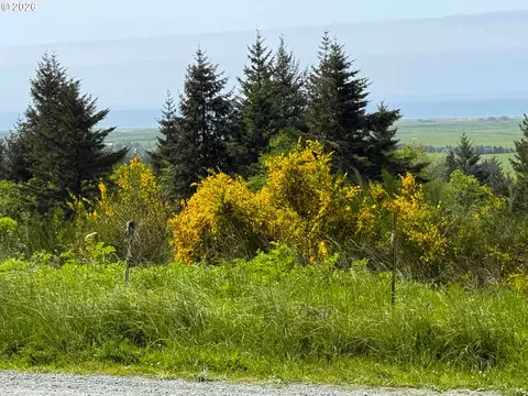 Pacific View, Langlois, OR 97450 photo 21