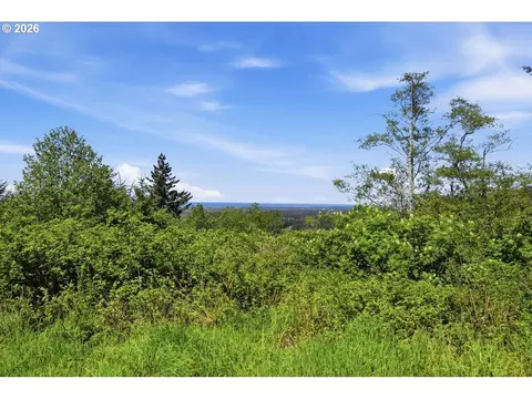 Pacific View, Langlois, OR 97450 photo 4