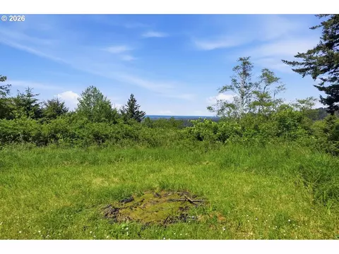 Pacific View, Langlois, OR 97450 photo 16