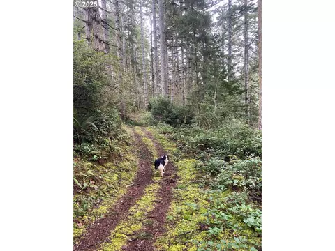 Hwy 101n, North Bend, OR 97459