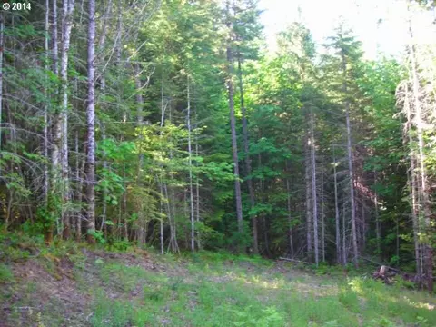 231 Griffing Rd, Carson, WA 98610 photo 1