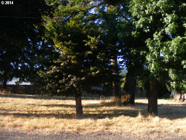 222 Dillingham Loop, Carson, WA 98610 photo 1