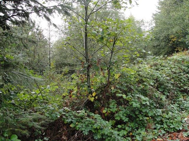 4150 SE Regner Rd, Gresham, OR 97080 photo 1