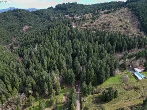 Laurel Hill Dr, Drain, OR 97435 photo 3