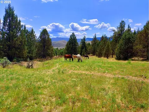 Wiley Creek Rd, Dayville, OR 97825