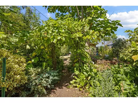 667 Archie St, Eugene, OR 97402 photo 37
