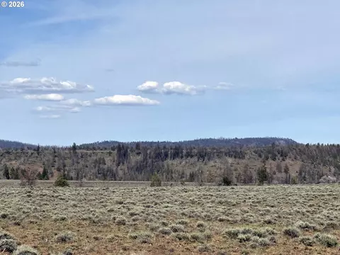 Nat. Develop. 4466, Beatty, OR 97621 photo 3