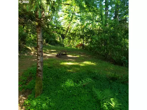 Other - 9247 Highway 126, Mapleton, OR 97453 photo 12 of 17