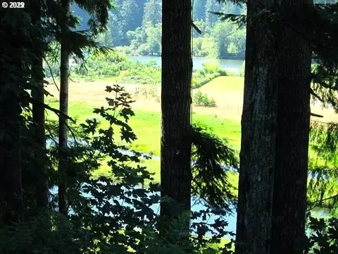 View/Area - 9247 Highway 126, Mapleton, OR 97453 photo 1 of 1