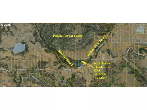 yellow pine rd, Beatty, OR 97621