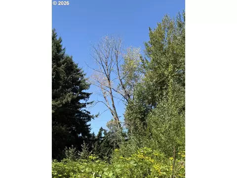 W Powell Loop, Gresham, OR 97030 photo 7