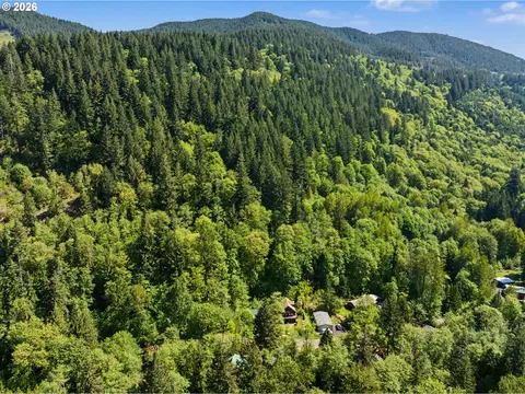 View/Area - 21561 E Hideaway Ln, Rhododendron, OR 97049 photo 5 of 7