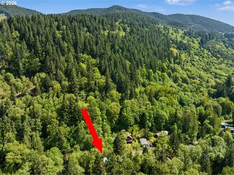 View/Area - 21561 E Hideaway Ln, Rhododendron, OR 97049 photo 3 of 7