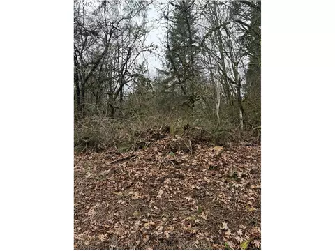 Hutchinson Rd, Rainier, OR 97048
