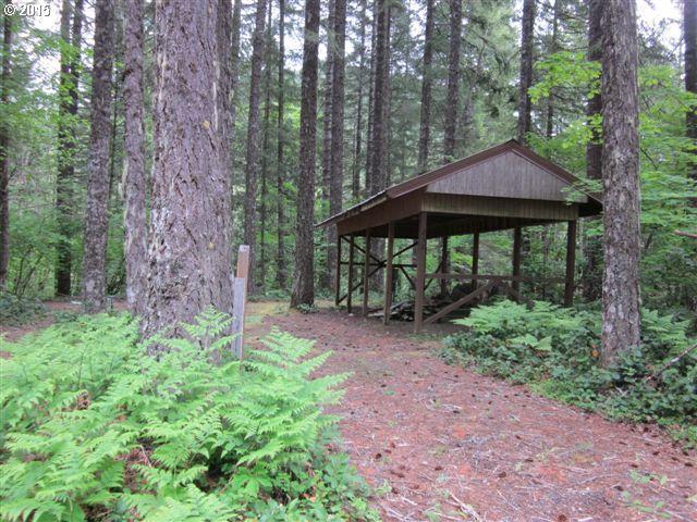 252 Heslen Rd, Carson, WA 98610 photo 1