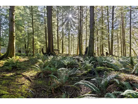 n stockton rd, Otis, OR 97368