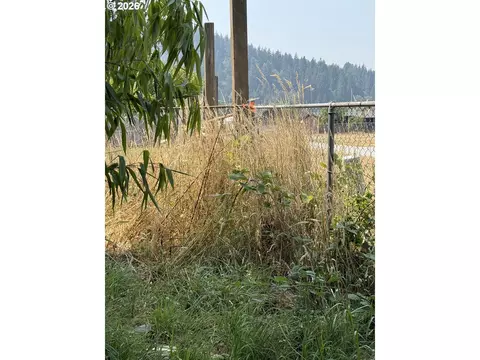 0 Whobrey St, Powers, OR 97466 photo 11